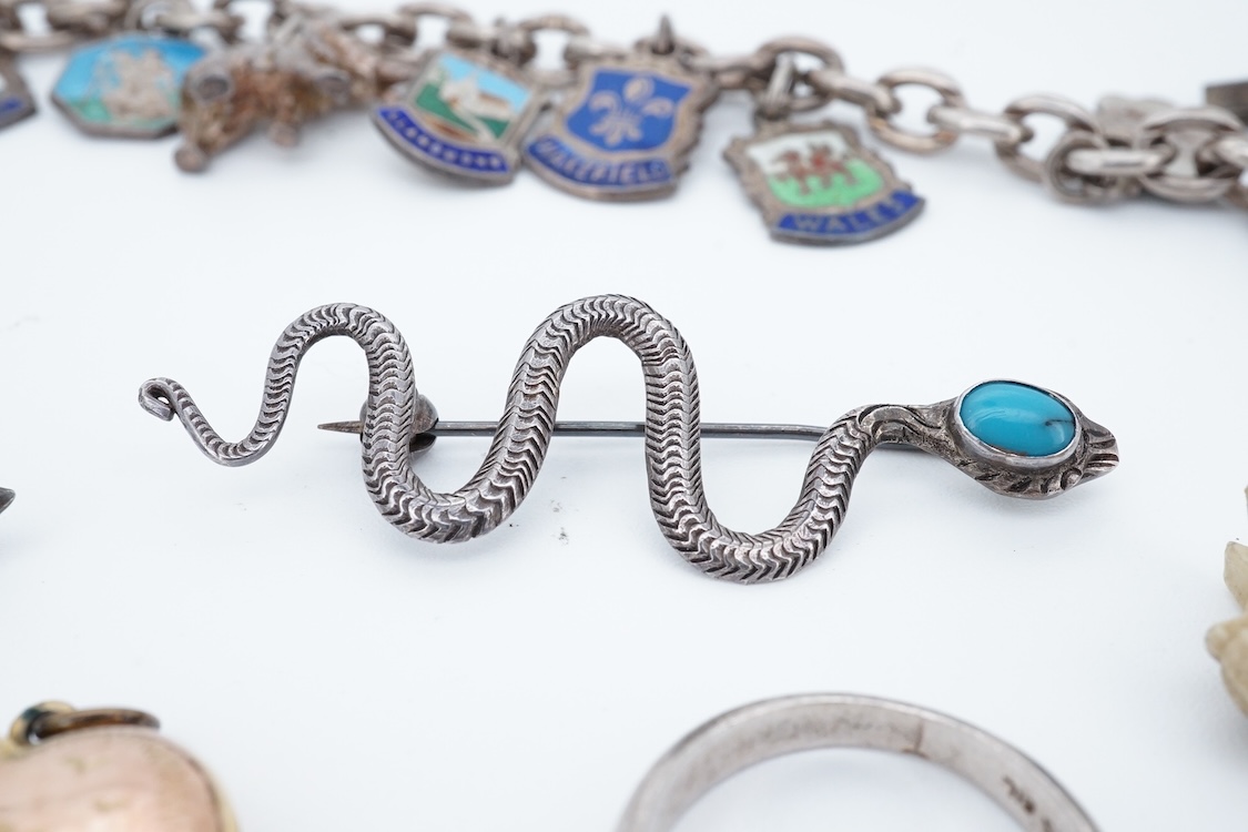 A small group of sterling, white metal and and other jewellery, including a charm bracelet, frog brooch, etc.